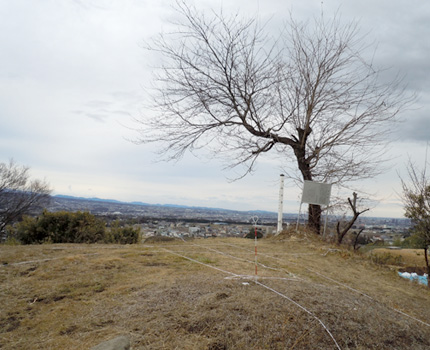 寂寞とした桃井城址