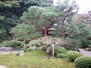 相国寺・瑞春院（京都市）