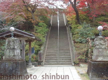 少林山達磨寺七草大祭だるま市