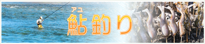 群馬県の鮎釣り情報