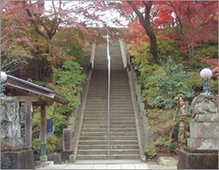 少林山達磨寺（高崎市）