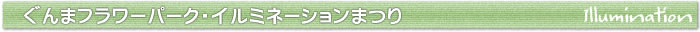 ぐんまフラワーパークイルミネーションまつり