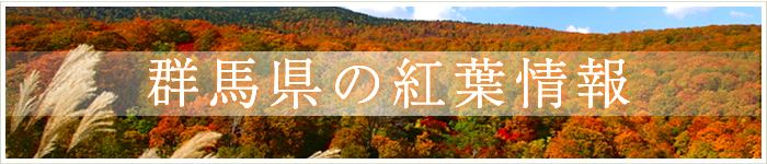 群馬県の紅葉情報・紅葉の名所