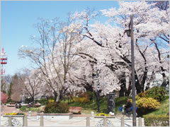 高崎城址公園