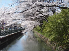 高崎城址公園