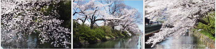 高崎城址公園