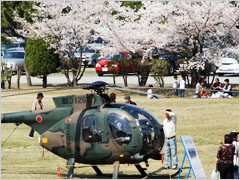 陸上自衛隊新町駐屯地敷地内ならではの光景