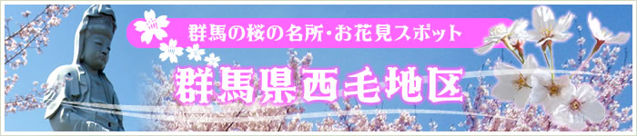 群馬の桜の名所・お花見スポット【群馬県西毛地区】