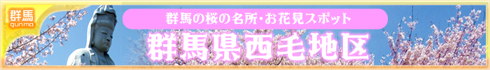 群馬の桜の名所・お花見スポット【群馬県西毛地区】