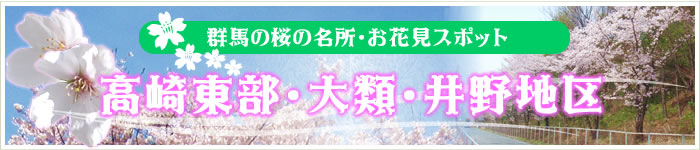 群馬の桜の名所・お花見スポット【高崎東部・大類・井野地区】